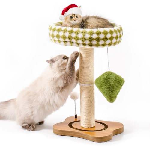 MEWOOFUN Scratching Post With Bed, Small Tree for Indoor Cats, Nature Sisal Scratcher With Plush Perch for Kitten & Large Cats, Toys Tower With Balls, Stable Stand (Green, 64CM)