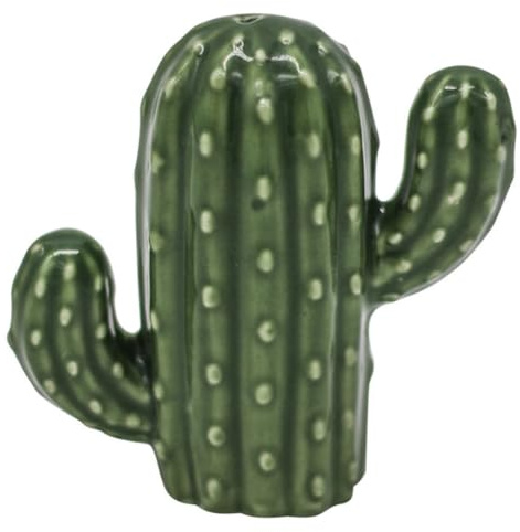 HOOTNEE Pot à Cure-Dents Cactus en Céramique Vert, Boîte 1 Pièce