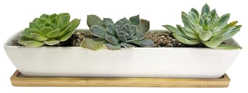 Clound city Vaso rettangolare lungo in ceramica bianca, 27,4 cm, per piante grasse, cactus, fiori, vasi per ufficio, finestra, cucina e balcone