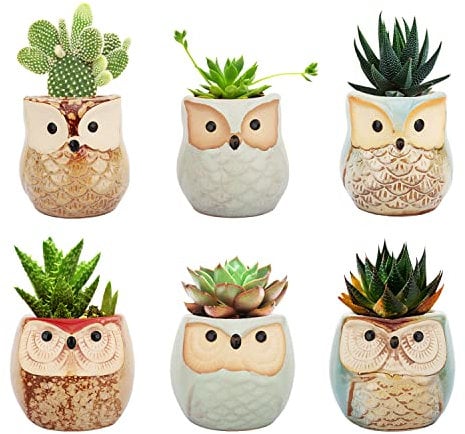 Lewondr Sukkulenten Töpfe, 6 Stück 2.5 Zoll Eule Blumentopf Bonsai Pflanzentopf Keramik Kunsttöpfe Set für Zimmer Büro Schreibtisch Regal Fenster Dekoration, Bunt