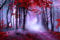 Bönninghoff I Leinwandbilder Natur 78 x 118 cm I Wandbild Roter Wald Kunstdruck I Wandbilder modern Schlafzimmer Wohnzimmer I Landschaftsbilder auf Leinwand I Leinwand Landschaft