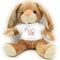Kilala Kuscheltier Hase Schutzengel Glücksbringer Plüschtier mit Glücksspruch herzerwärmendem Spruch (Glücksschwein)