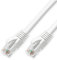 D.Square - Cable Ethernet Internet LAN 0,3m, Cat.6 U/UTP Blanco, Cable de Red LSOH, Conector Rj45, 1 GB/S, Ideal para Router/Móderms, Switch, Repetidor, Ordenador, Portátil, Red Locales.