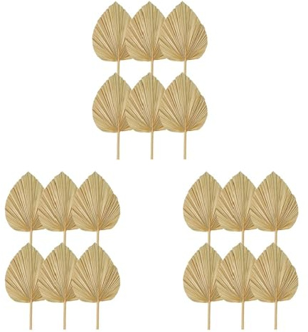Aundhegrtt 18PCS Dried Palm Leaves Natural Dried Palm Fans,Large Palm Spear for Boho Wedding Decor,Tropical Palm Leaves S