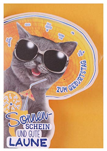 KE - Humorvolle Geburtstagskarte mit Innentext, DIN B6 Format, inklusive Umschlag - Geschenk für Katzenliebhaber - Motiv: Katze