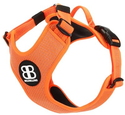 BullyBillows Active Light Hundegeschirr mit Griff | Premium-Geschirr mit gepolstertem Innenfutter & hochreflektierendem Design | Geeignet für alle Hunderassen | Orange |Klein