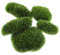 HOLIDYOYO 5 Stück Pflanzen Wanddekoration Terrarium Moos Grünes Dekor Künstlicher Moosstein Künstlicher Moosstein Für Den Garten Künstliche Moosfelsen Künstliche Moossteine