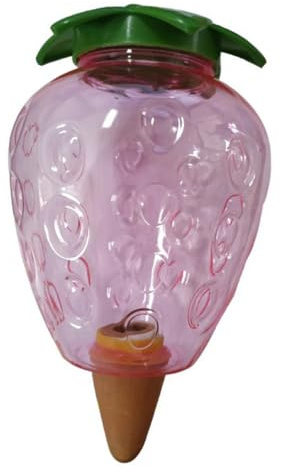 Toddmomy Dispositif Arrosage Automatique Plastique de Fraise pour Plantes Intérieur Extérieur Arrosage