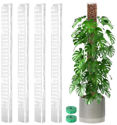 Moosstab Für Die Monstera Pflanze Stäbe Für Vertikale