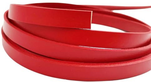 AYWTIUN Cordino Cuoio Cordoncino in Vera Pelle Rossa Piatta da 1 m, 8x2 mm