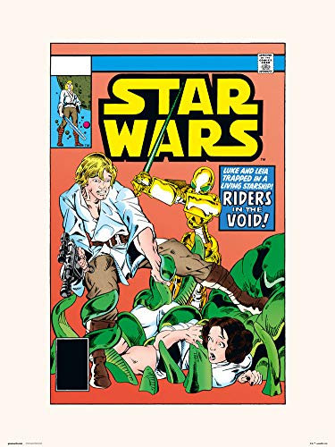 Erik Print Poster Star Wars 38 Riders in The Void - Wand-Dekoration
