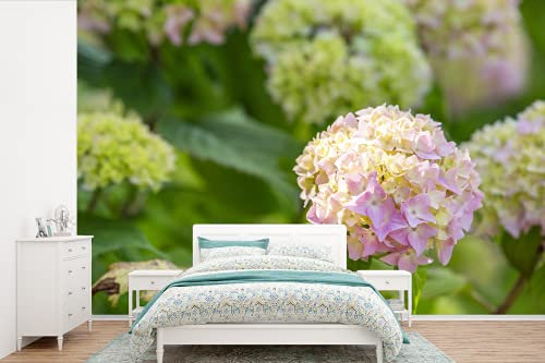 Selbstklebend Tapete Wandpapier Wandaufkleber Fototapete Tapeten Wanddeko 330x220 cm Rosa Hortensie in der Sonne