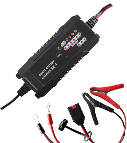 Caricabatterie SX-1, LiFePO4 12.8V 8 a 50Ah 4 celle, piombo 6V 12V 1,2 a 120Ah, batterie WET auto moto, GEL, AGM, MF, VRLA, funzione diagnosi, ripristino, carica e mantenimento, gestibile via APP
