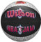 Wilson Basketball NBA Jam, Indoor / Outdoor