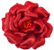 Mecool Pince à cheveux rose pour fête, mariage, corsage - Pince à cheveux en forme de fleur - Accessoires pour femmes et filles - Orange