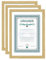 IDEAL TREND 2er 3er 5er 10er Pack Dokument Bilderrahmen 21x29,7 DIN A4 Urkunde Foto Rahmen: Farbe: 3er Pack Natur