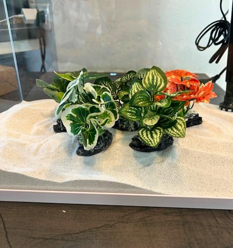 Générique Ensemble de 5 Plantes Artificielles pour Aquarium, Feuilles Vertes Réalistes, avec Base en Pierre