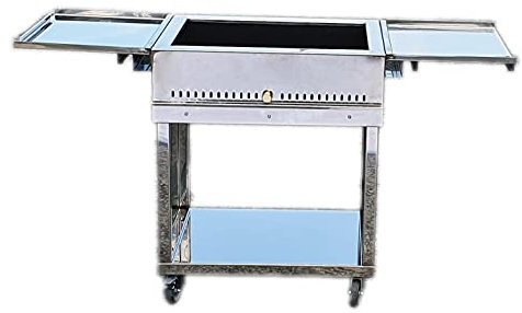 Barbacoa de acero inoxidable de 60 x 40 cm con carbón y leña, con carrito