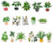 MILISTEN 16stücke Teiliges Bonsai Magnetische Sticker Für Kühlschrank Bunte Pflanzen Dekoration DIY Kühlschrank Aufkleber Für Metalloberflächen Und Scratch-Resistant Für Pflanzenliebhaber
