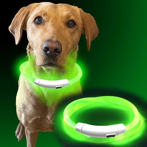 Murr LED Dog Collar Light | Rechargeable Flashing Dog Collars for Dark & Night Walking | USB Light Up Dog Collar for Dogs | Waterproof Safety Collar Lights – Green