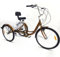 JINPRDAMZ Dreirad für Erwachsene 24 Zoll Fahrrad mit 3 Rädern Gold 6 Geschwindigkeit Dreirad mit Rückenlehne und Einkaufskorb Fahrrad für Erwachsene Männer Frauen und Senioren