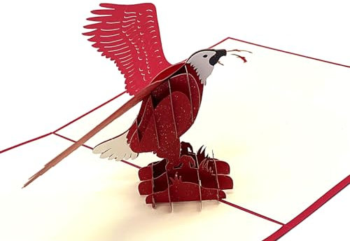 Annakideya 3D Pop-Up Grußkarte – Einzigartige Tier-Grußkarte mit Adlermotiv für Weihnachten oder Geburtstage, perfekt für Kinder bis Erwachsene