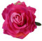 Lofruiin Damen-Haarspange im Vintage-Stil, elegant, Rosen-Blume, mit Brosche für Party, Reisen, Festivals (buntes Fuchsia)