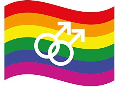 Premium Aufkleber Regenbogen Gay Pride Rainbow Flag Sticker LGBT Movement Waschstrassenfest und UV-Beständig