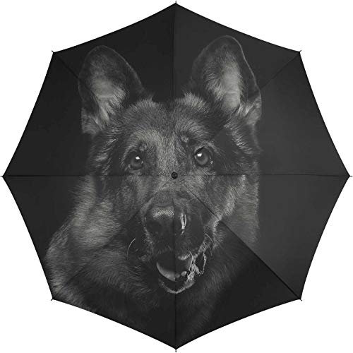 Automatik Regenschirm Stockschirm Essentials Dog mit wunderschönem Hundemotiv