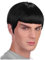 DISBACANAL Kapitän Spock Perücke - Schwarz, Glatt, Wig, WIG, Modern, Herren, Futuristisch, Schwarz, Perücke