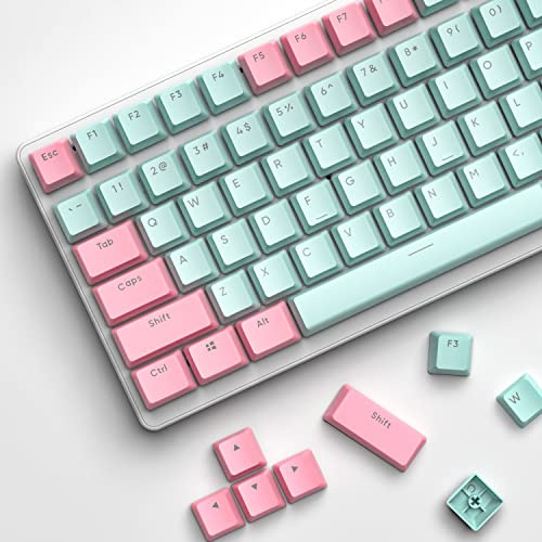 PBT Keycaps 117 Keys OEM Profile Double-Shot Full Keycap Set ANSI ISO Layout for Mechanical Keyboards, Compatible with MX Switches Cherry/Gateron/Kailh/Akko Switch for RK61/G213/APEX 3(Pink & Blue)