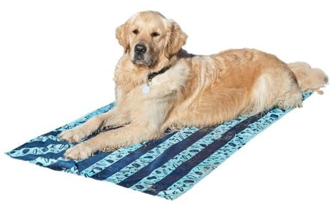 Dock & Bay Pet Towel - Super Absorbent & Quick Drying Dog Towels with Bag - 100% Recycled - Bark Blue, Medium (90x50cm, 35x19)