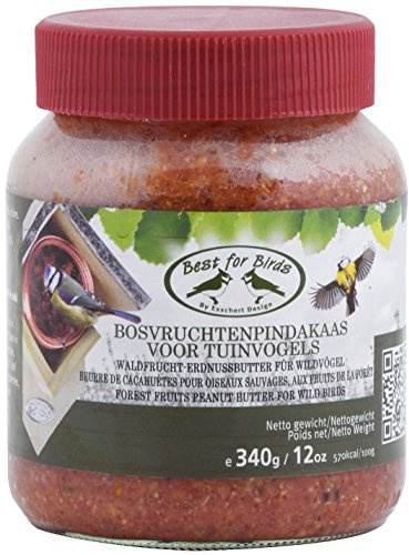 degawo Waldfrucht Erdnussbutter Wildvögel Vogelhaus Futterhaus Ganzjahresfutter