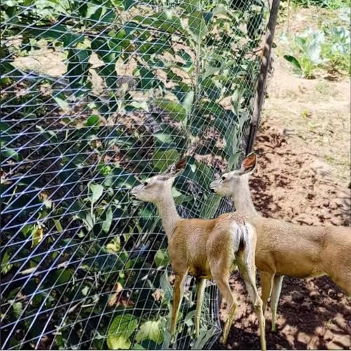 Oracra Vogelschutznetz Erntepflanzen Gitternetz für Hirschhörnchen, Extra Großes Geflügelnetz für Hühnerkoop, Professionelles Vogelzäune -Netz für Gartengarten (Size : 20x25m/66x82ft)