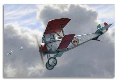 BINKAIYI Poster im Vintage-Stil des 1. Weltkriegs Kampfflugzeug, Newport 17, Militärflugzeug, dekoratives Gemälde, Leinwand, Wandposter und Kunstdruck, moderne Familienschlafzimmer-Dekoration, Poster,