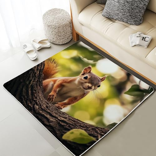Xuxangti Cute Squirrel Rug 8x10 for Living Room, Woodland Animal Area Rugs for Bedroom, Wild Rodent Carpet Low Pile, Room Decor Large Rugs, Soft Non Slip, Machine Washable
