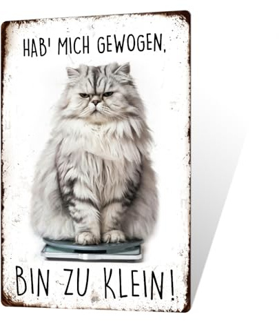 Putuo Decor Lustiges Metallschild Katze – Hab' mich gewogen, bin zu klein – Witzige Wanddeko mit Spruch – Geschenkidee für Katzenfreunde
