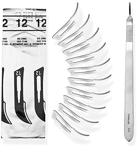 Lot de 10 lames de scalpel Figurine 12 en acier carbone - Lames de rechange emballées individuellement stériles + 1 May - Support scalpel avec manche courbé de 20 cm de long - Acier inoxydable