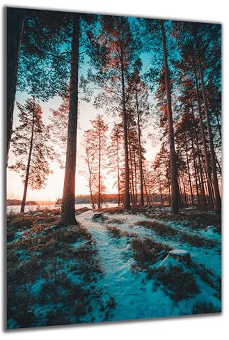DARO Design - Wand-Bild auf 6mm HDF 70x50 cm Wald Pfad Schnee - Wand-Deko Bilder Geschenk