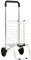 Panana Foldable Shopping Trolley Cart Grocery 2 Wheels Steel Grocery Cart Hard Wearing Foldaway for Easy Storage 35Ltr (Steel, 2wheels-HKST10WH)