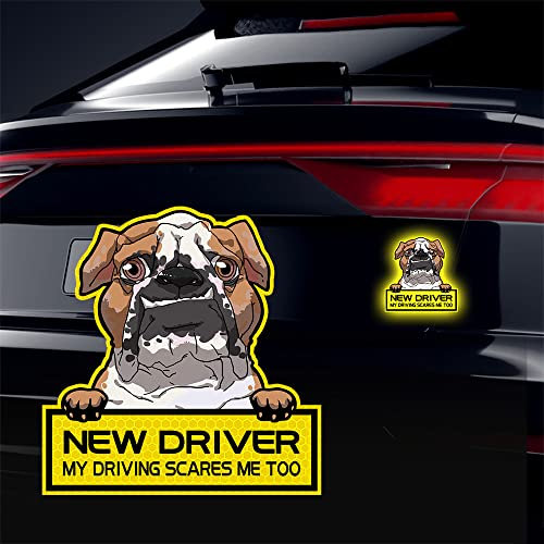 Vesvory Reflektierende Hundeaufkleber für Autos My Driving Scares Me Too Aufkleber, lustiger Bulldogge, Welpen, Studenten, Fahrer, Stoßstange, Fenster, Aufkleber, Gelb, 2 Stück