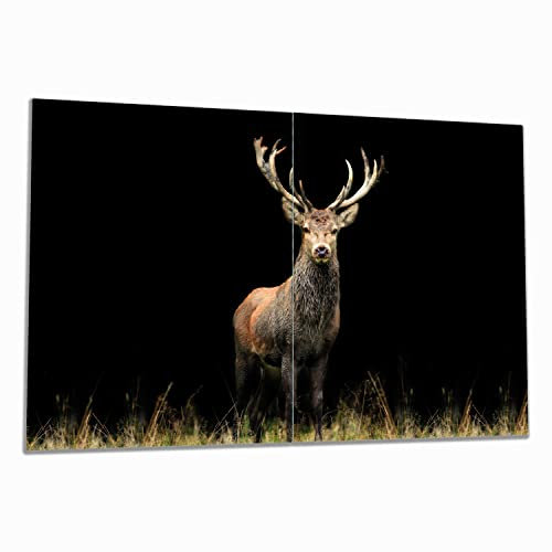 Wallario Herdabdeckplatte/Spritzschutz aus Glas, 2-teilig, 80x52cm, für Ceran- und Induktionsherde, Stattlicher Rothirsch