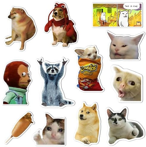 GTOTd Cat Meme Fridge Magnet (12 Pack). Gifts Merch Meme Decoartions Funny Magnet Bumper Sticker Decal Fridge Metal Magnet Flexible Reuseable Vinyl Magnetic Decor Teens