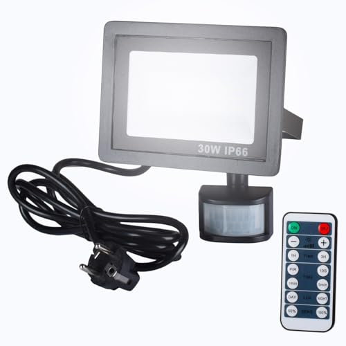 Etrogo 30W Projecteur LED Avec Détecteur de Mouvement Exterieur 6000K Blanc froid Dimmable 3000LM 42 LEDs avec Télécommande IP66 Etanche pour Jardin Patio Garage Entrée etc