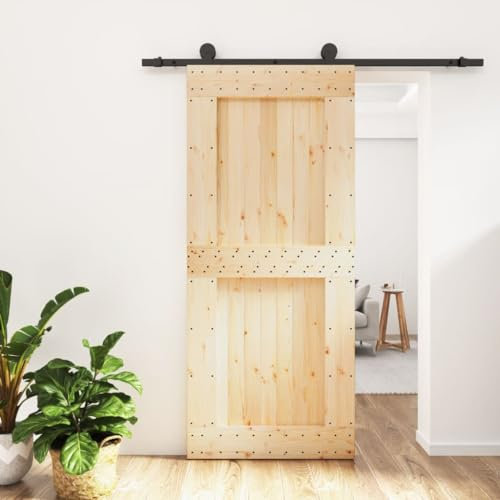 BLASE Porta Scorrevole Con Set Hardware, Esterno e Interno, Del Granaio, in Legno, per Letto, Cucina, Fienile, Garage, Nero 90x210 cm Tipo 3
