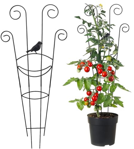 Rankgitter für Kletterpflanzen | Rankgitter aus Metall zur Unterstützung von Pflanzen – Halterung für Kletterblumen, Innenräume, Terrasse, Garten, Hochzeit, Weingarten, Balkon