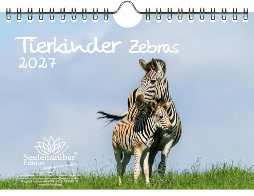 Tierkinder Zebras DIN A5 Kalender für 2027 Zebra - Seelenzauber