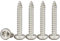 Drenky Vis à Bois Autotaraudeuses à Tête Ronde M4x20mm Vis Torx Inox Terrasse Filetage Complet Vise Placo Fixation Du Bois, 100 Pièces