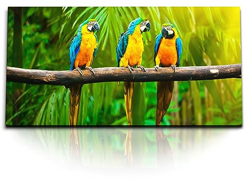 Paul Sinus Kunstdruck Bilder 120x60cm 3 Papagei Grün Dschungel Farbenfroh Tierfotografie