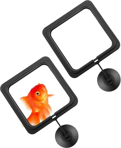 JUGUTA 2 Pcs Feeding Station, Futterring Aquarium Schwarzer Fisch Fütterung Ringe Fisch Fütterer Aquarium Schwimmender Futter Fütterung Kreis Mit Saugnapf Verhindern